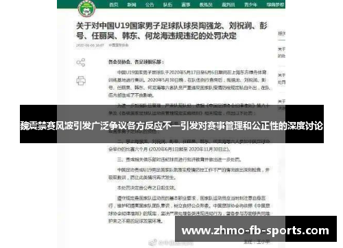 魏震禁赛风波引发广泛争议各方反应不一引发对赛事管理和公正性的深度讨论