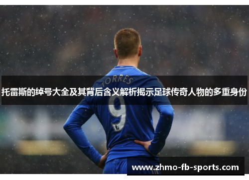 托雷斯的绰号大全及其背后含义解析揭示足球传奇人物的多重身份 托雷斯的绰号大全及其背后含义解析揭示足球传奇人物的多重身份