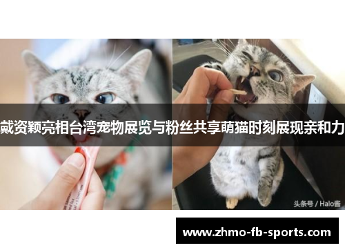 戴资颖亮相台湾宠物展览与粉丝共享萌猫时刻展现亲和力