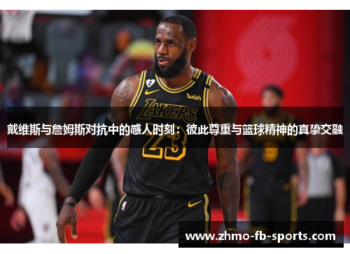 戴维斯与詹姆斯对抗中的感人时刻：彼此尊重与篮球精神的真挚交融