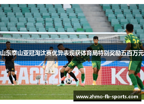 山东泰山亚冠淘汰赛优异表现获体育局特别奖励五百万元